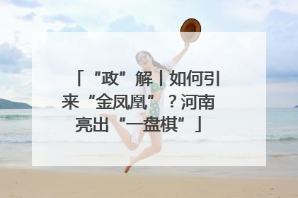 “政”解丨如何引来“金凤凰”？河南亮出“一盘棋”